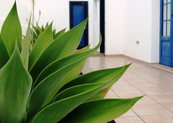 Puerto Rubicon Villa *