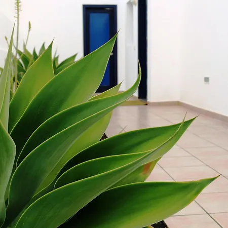 Puerto Rubicon וילה *